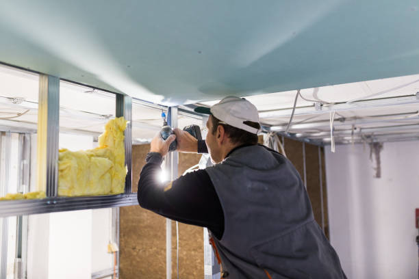 Best Specialty Insulation in Chauvin, LA