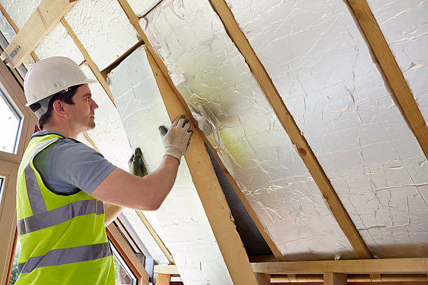 Best Insulation Maintenance and Repair in Chauvin, LA